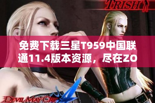 免费下载三星T959中国联通11.4版本资源，尽在ZOL网站