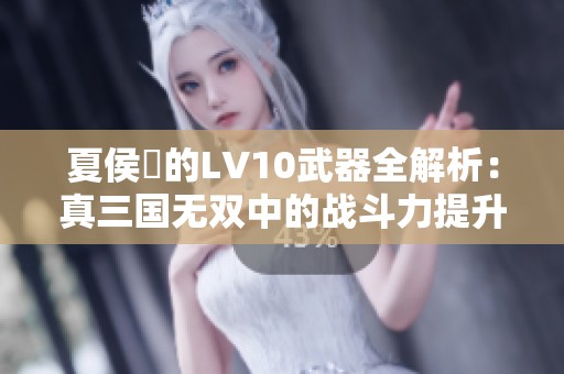 夏侯淵的LV10武器全解析：真三国无双中的战斗力提升秘籍
