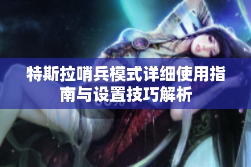特斯拉哨兵模式详细使用指南与设置技巧解析