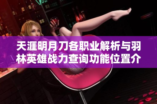 天涯明月刀各职业解析与羽林英雄战力查询功能位置介绍