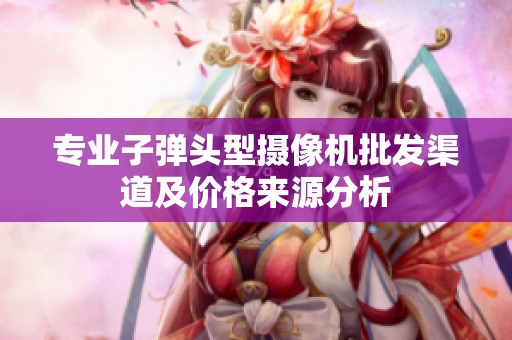 专业子弹头型摄像机批发渠道及价格来源分析