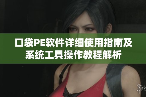 口袋PE软件详细使用指南及系统工具操作教程解析