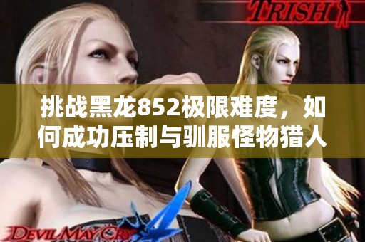 挑战黑龙852极限难度，如何成功压制与驯服怪物猎人之路