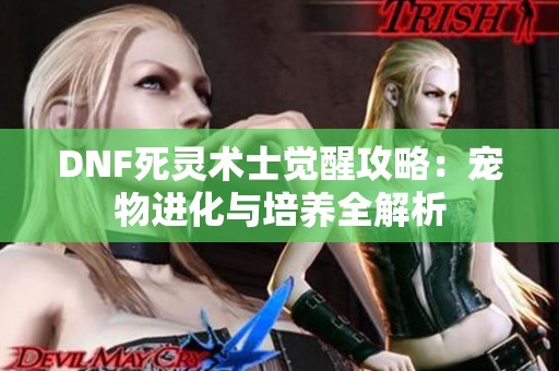 DNF死灵术士觉醒攻略：宠物进化与培养全解析