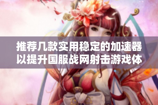 推荐几款实用稳定的加速器以提升国服战网射击游戏体验