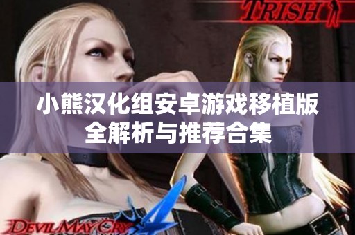 小熊汉化组安卓游戏移植版全解析与推荐合集