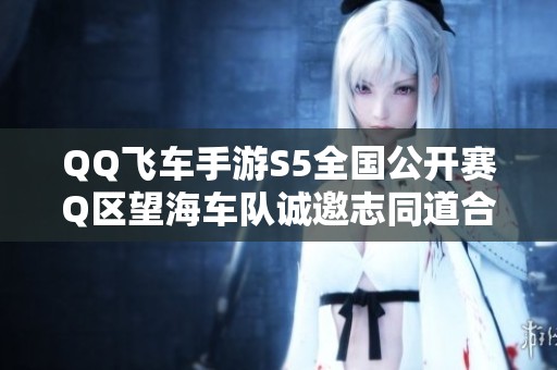 QQ飞车手游S5全国公开赛Q区望海车队诚邀志同道合的玩家加入