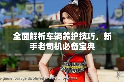 全面解析车辆养护技巧，新手老司机必备宝典