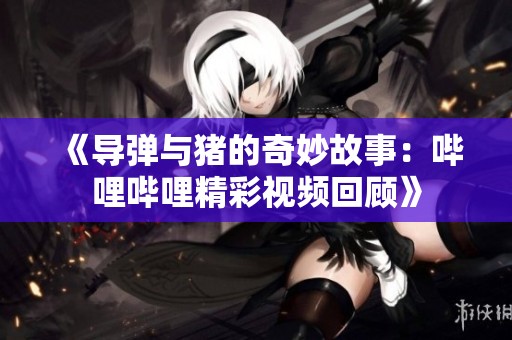 《导弹与猪的奇妙故事：哔哩哔哩精彩视频回顾》