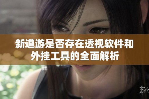 新道游是否存在透视软件和外挂工具的全面解析