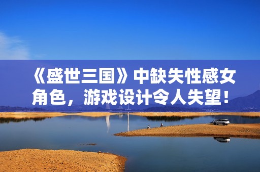 《盛世三国》中缺失性感女角色，游戏设计令人失望！