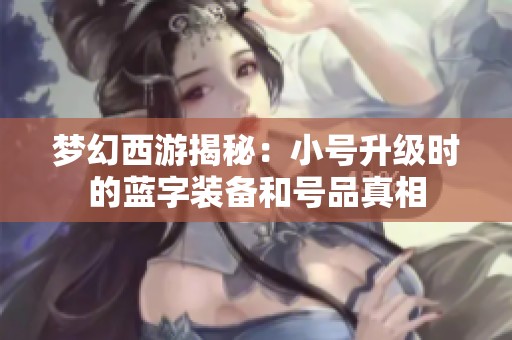 梦幻西游揭秘：小号升级时的蓝字装备和号品真相