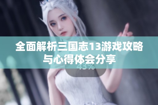 全面解析三国志13游戏攻略与心得体会分享