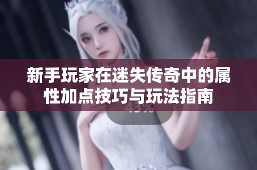 新手玩家在迷失传奇中的属性加点技巧与玩法指南