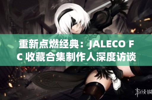 重新点燃经典：JALECO FC 收藏合集制作人深度访谈