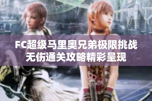 FC超级马里奥兄弟极限挑战无伤通关攻略精彩呈现