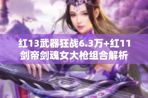 红13武器狂战6.3万+红11剑帝剑魂女大枪组合解析