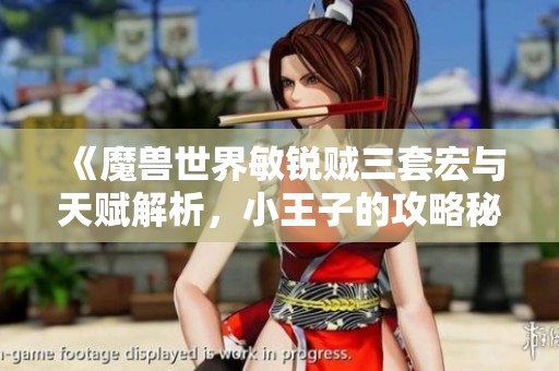 《魔兽世界敏锐贼三套宏与天赋解析，小王子的攻略秘籍》