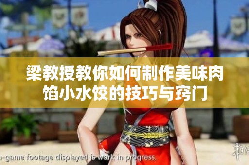 梁教授教你如何制作美味肉馅小水饺的技巧与窍门