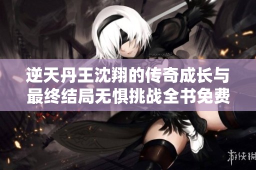 逆天丹王沈翔的传奇成长与最终结局无惧挑战全书免费阅读