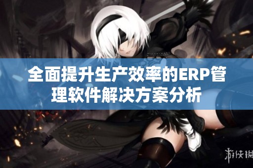 全面提升生产效率的ERP管理软件解决方案分析