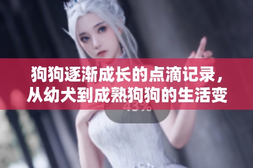 狗狗逐渐成长的点滴记录，从幼犬到成熟狗狗的生活变化
