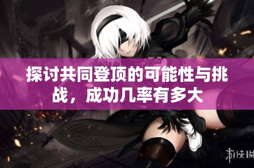 探讨共同登顶的可能性与挑战，成功几率有多大