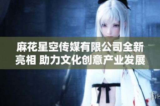 麻花星空传媒有限公司全新亮相 助力文化创意产业发展