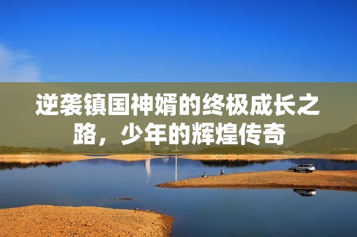 逆袭镇国神婿的终极成长之路，少年的辉煌传奇