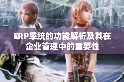 ERP系统的功能解析及其在企业管理中的重要性