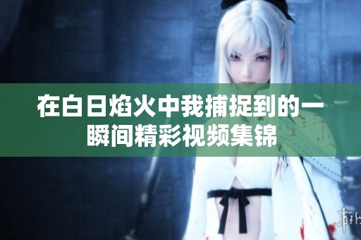 在白日焰火中我捕捉到的一瞬间精彩视频集锦