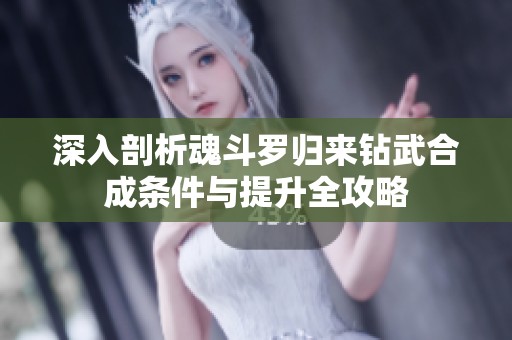 深入剖析魂斗罗归来钻武合成条件与提升全攻略