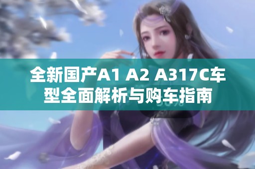 全新国产A1 A2 A317C车型全面解析与购车指南