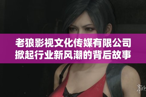 老狼影视文化传媒有限公司掀起行业新风潮的背后故事