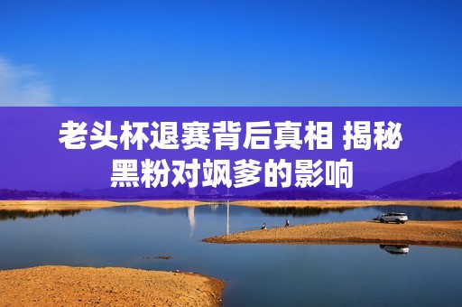 老头杯退赛背后真相 揭秘黑粉对飒爹的影响
