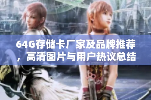 64G存储卡厂家及品牌推荐，高清图片与用户热议总结