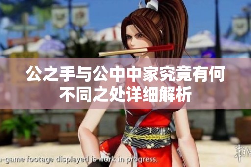 公之手与公中中家究竟有何不同之处详细解析