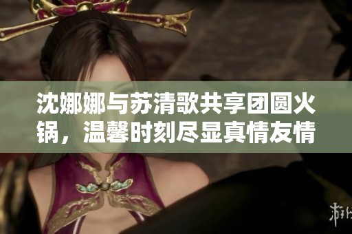 沈娜娜与苏清歌共享团圆火锅，温馨时刻尽显真情友情