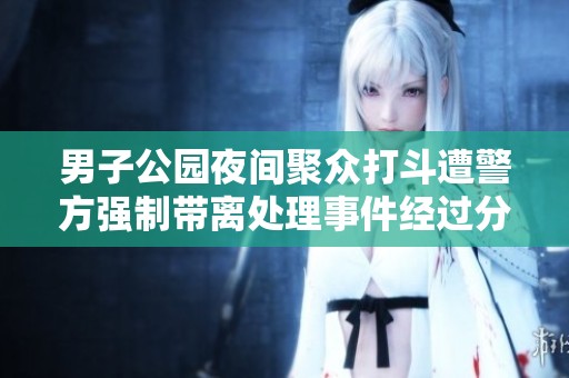 男子公园夜间聚众打斗遭警方强制带离处理事件经过分析