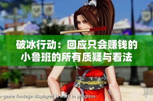 破冰行动：回应只会赚钱的小鲁班的所有质疑与看法