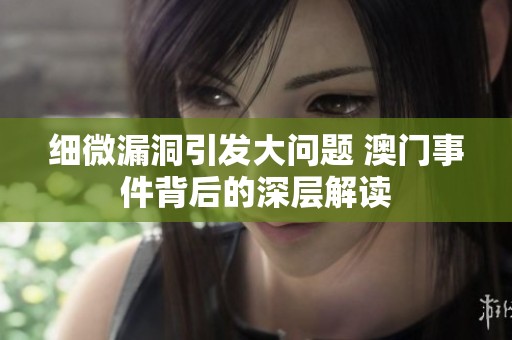 细微漏洞引发大问题 澳门事件背后的深层解读