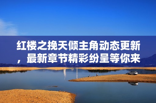 红楼之挽天倾主角动态更新，最新章节精彩纷呈等你来读！