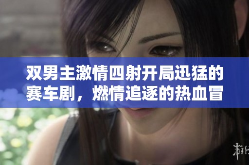 双男主激情四射开局迅猛的赛车剧，燃情追逐的热血冒险