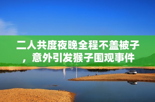 二人共度夜晚全程不盖被子，意外引发猴子围观事件