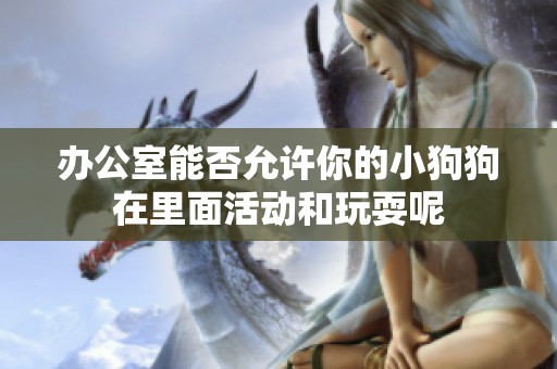 办公室能否允许你的小狗狗在里面活动和玩耍呢