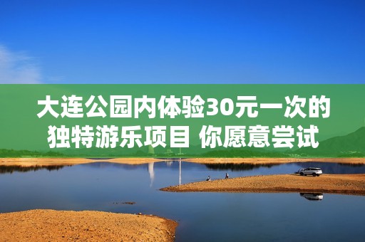 大连公园内体验30元一次的独特游乐项目 你愿意尝试吗