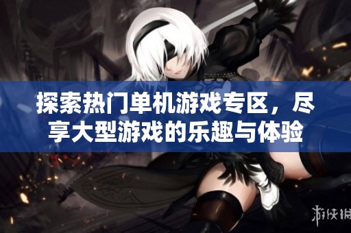 探索热门单机游戏专区，尽享大型游戏的乐趣与体验