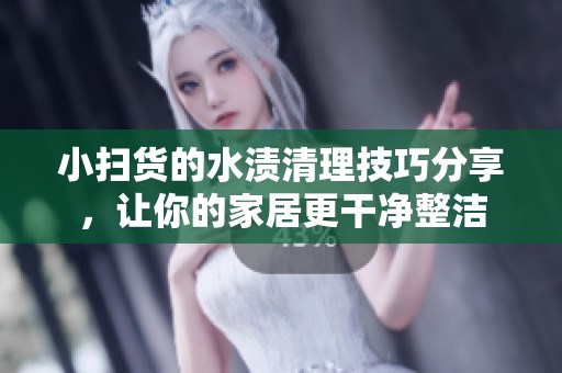 小扫货的水渍清理技巧分享，让你的家居更干净整洁