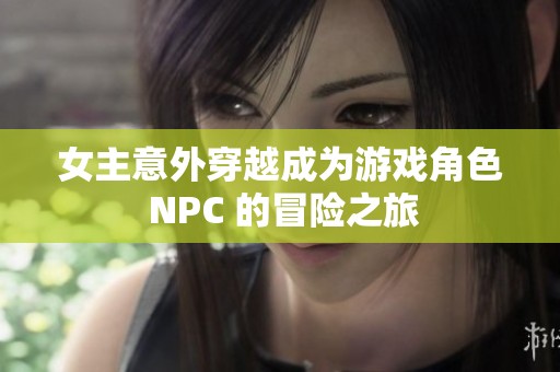 女主意外穿越成为游戏角色 NPC 的冒险之旅