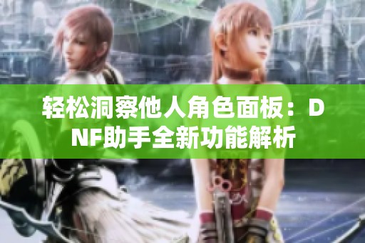 轻松洞察他人角色面板：DNF助手全新功能解析